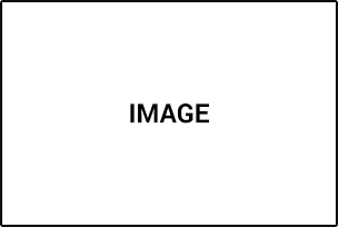 Orthodontics Wellington Hutt